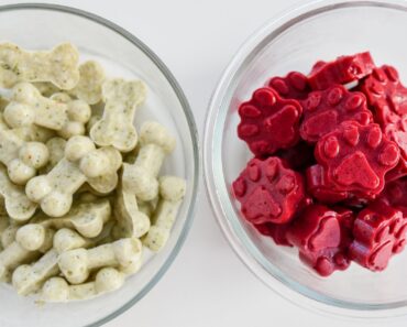 Bring on the red and green everything ... including dog treats. But, guess what?! These Christmas-colored dog treats don't use food coloring.