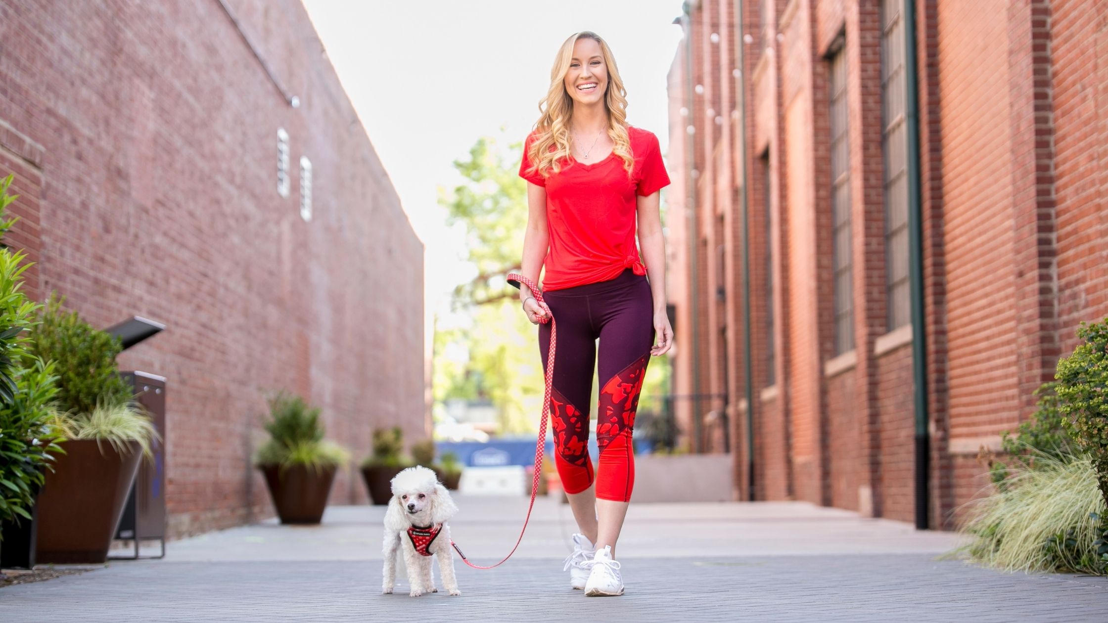 Along with your personal journey toward living your best life, here are 10 habits you can adopt to promote health and happiness for Fido!