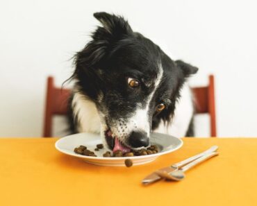 Ingredient Splitting