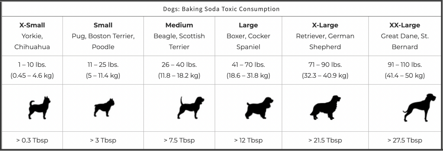 Is Baking Soda Toxic for Dogs? Proud Dog Mom
