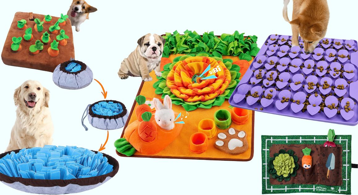 5 Snuffle Mats Your Dog Will Love - Proud Dog Mom
