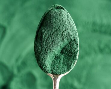 Spirulina is a valuable addition to dog diets. Read on to explore what spirulina is, its rich nutritional profile, and its health benefits.