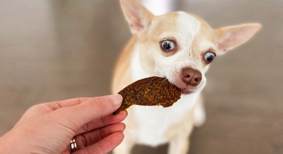 Get ready to make your dog's tail wag with this Beef Bark treat! It combines the savoriness of jerky with a satisfying chip-like texture.