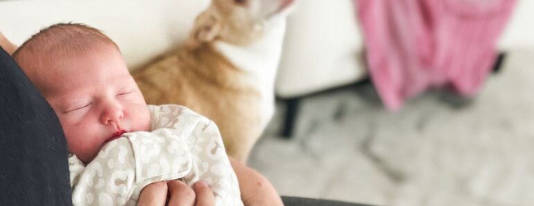 The anticipation of introducing your dogs to your newborn baby can be thrilling yet nerve-wracking. Here's what we did to ensure a successful first meeting.